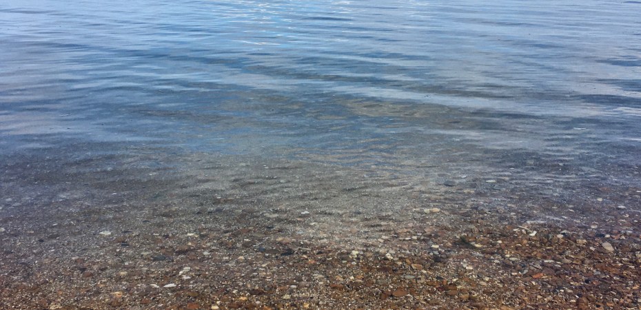 solent; Isle of wight; swimming; wild swimming; sea swimming; swimming women; orange hat ladies;