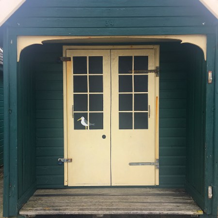 beach hut; orange hat ladies; gurnard; isle of wight; sea swimming; wild swimming; swimming women; 1930s