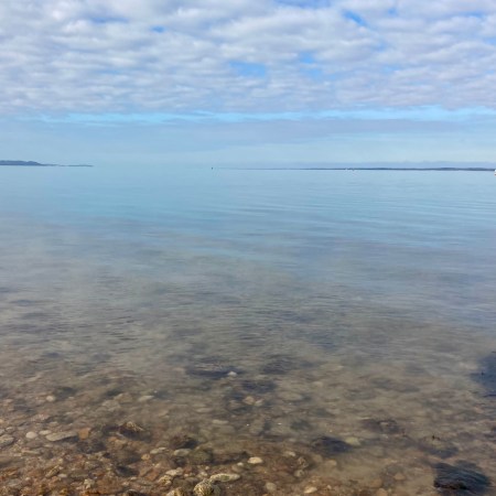 orange hat ladies, sea swimming, swimming women, gurnard, isle of wight, wild swimming