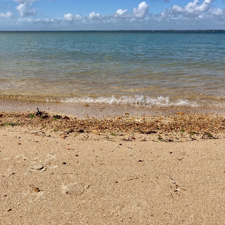 sea swimming, orange hat ladies, wild swimming, swimming women, isle of wight, outdoor swimming