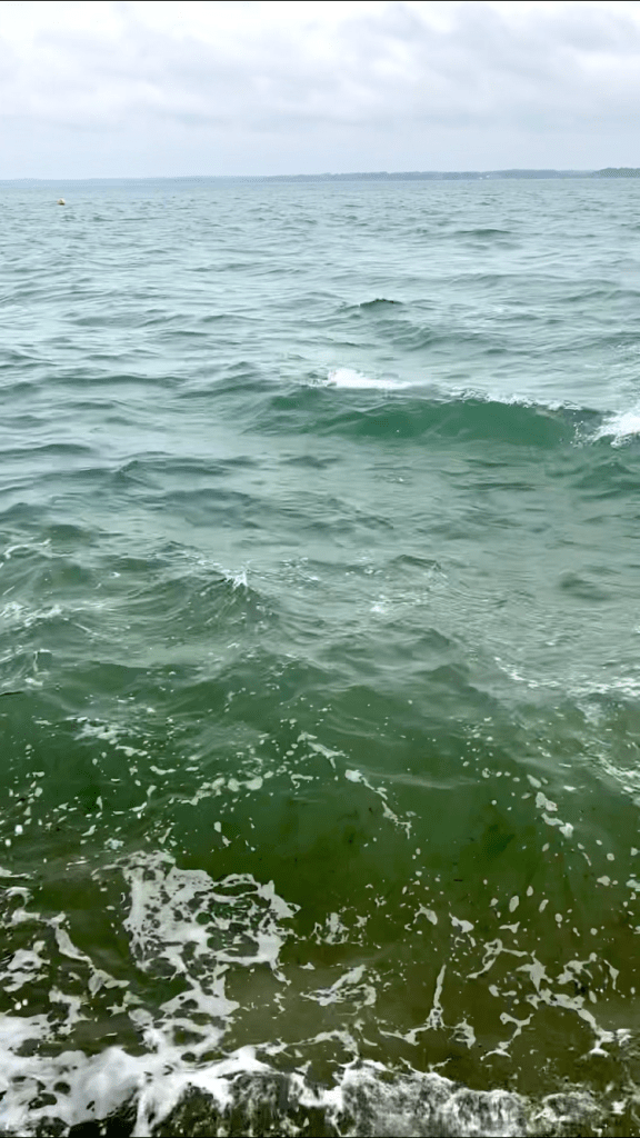 orange hat ladies, wild swimming, outdoor swimming