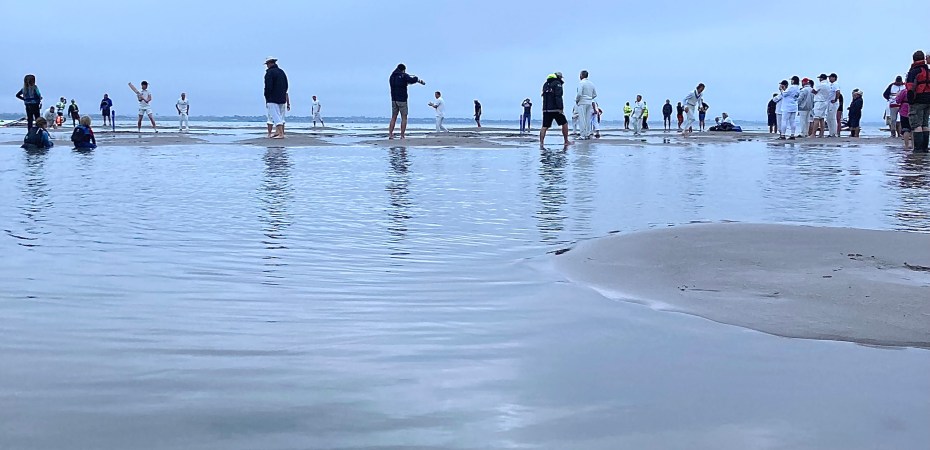 Orange hat ladies, RNLI, bramble bank, swim blog