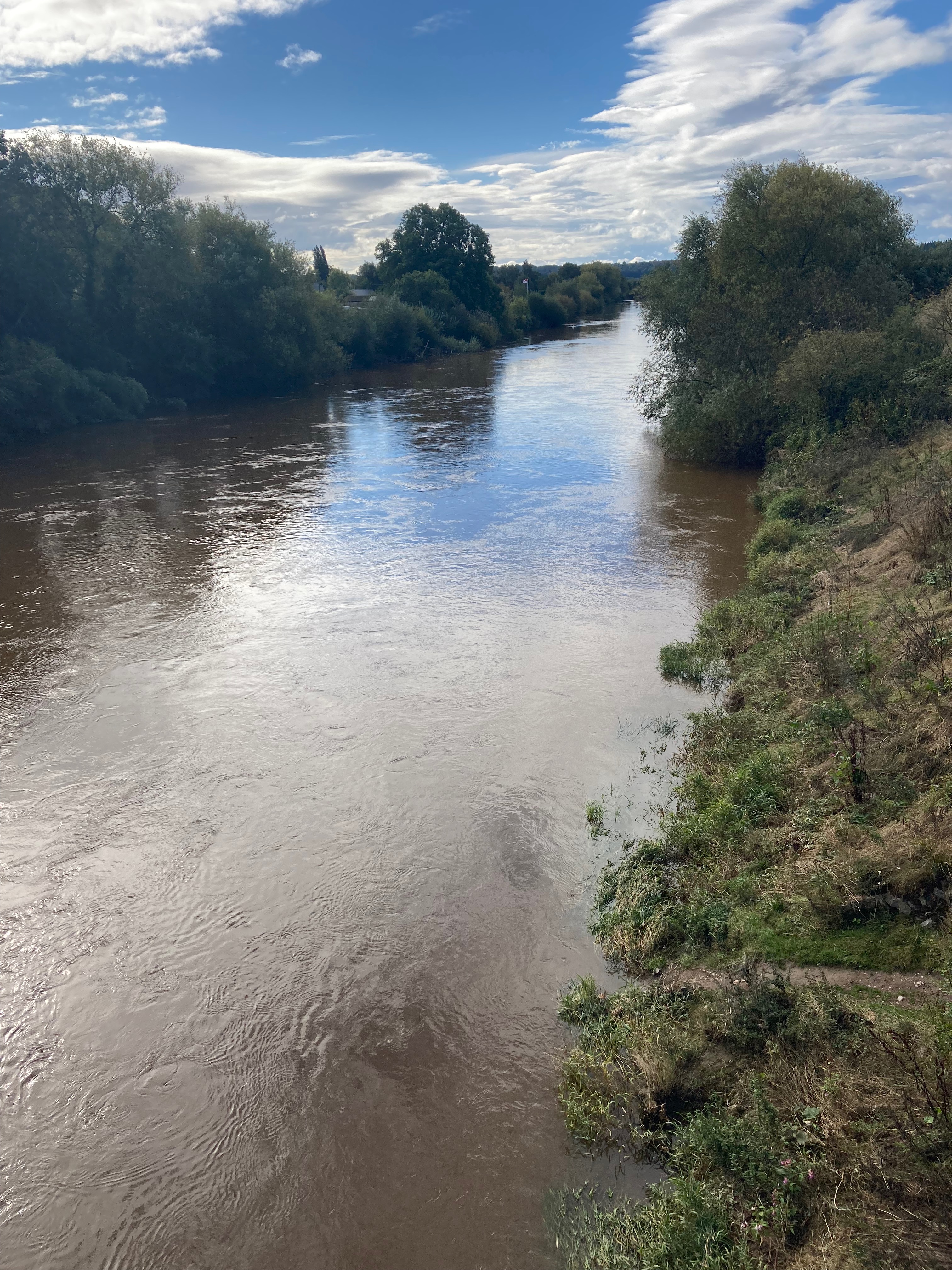 Orange hat ladies, river wye