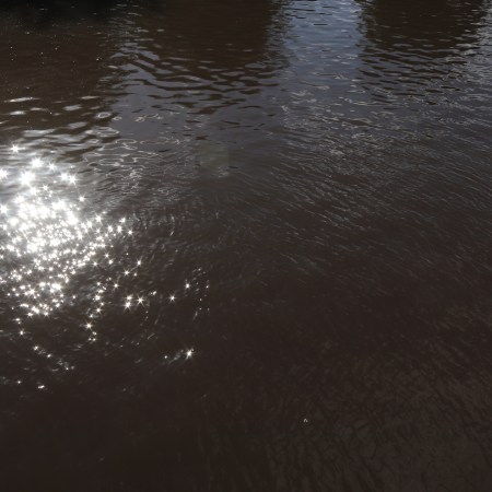 Orange hat ladies, wild swimming