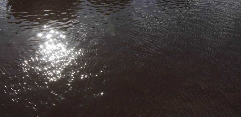 Orange hat ladies, wild swimming