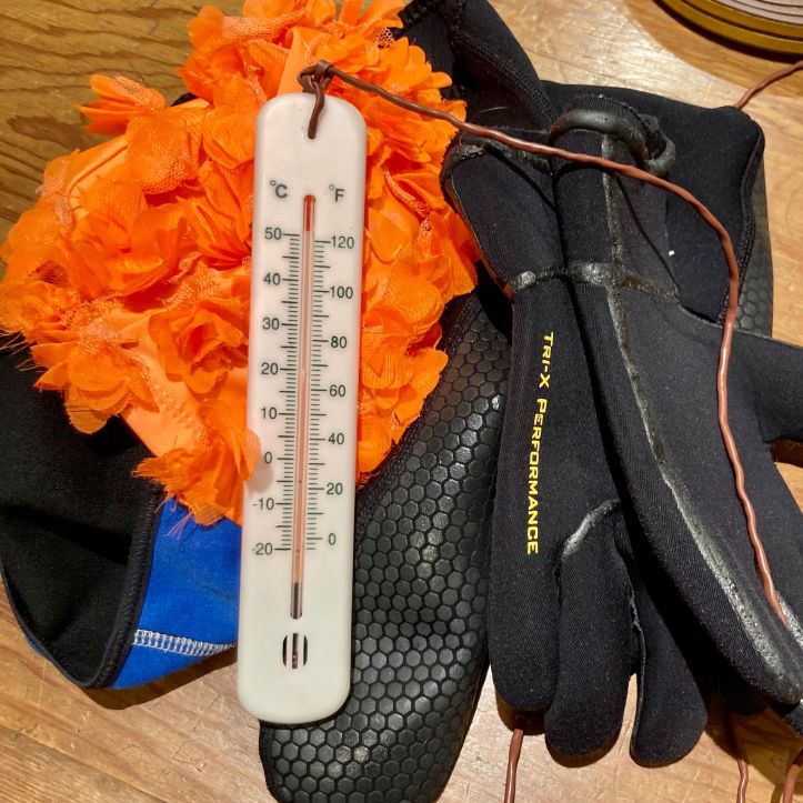 orange hat ladies, sea swimming, sea temperature