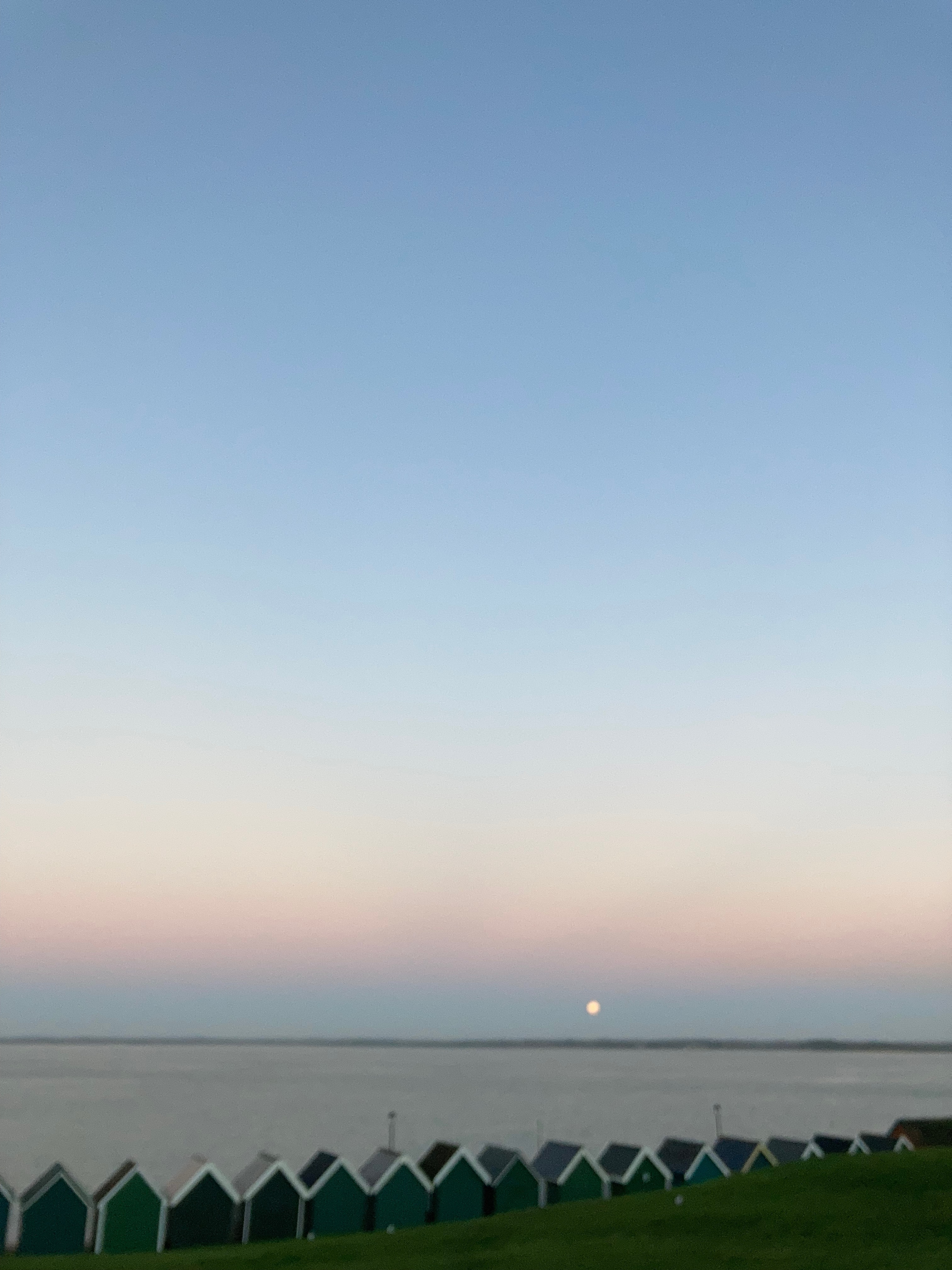 orange hat ladies, sea swimming, daily swim