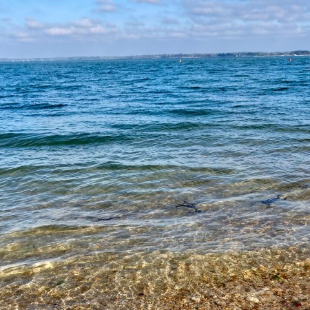 orange hat ladies bank holiday spring 2022