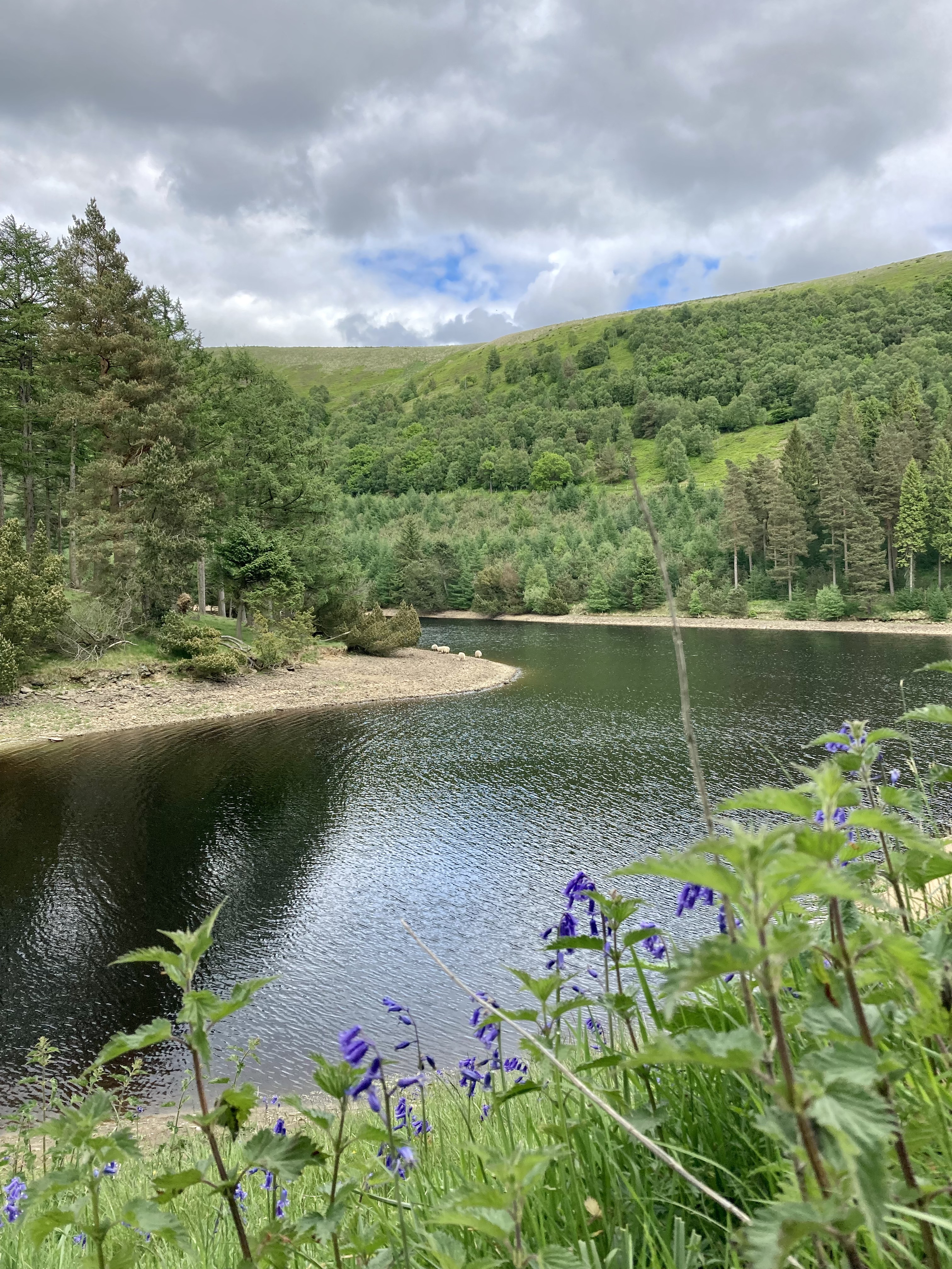 peak district, wild swimming, orange hat ladies