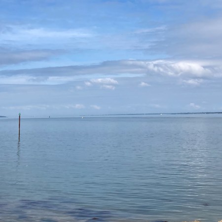 Orange hat ladies, sea swimming