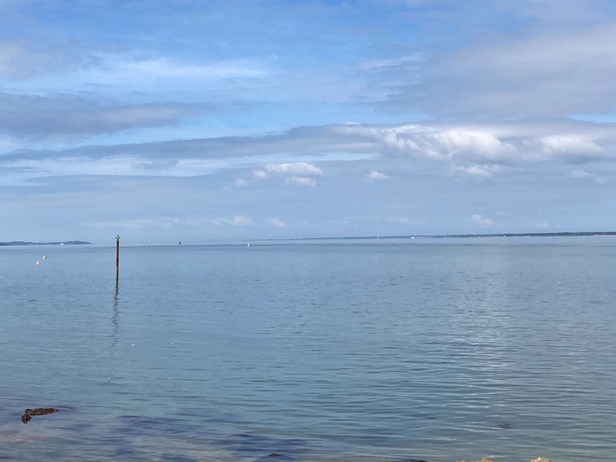 May Internet Splashes